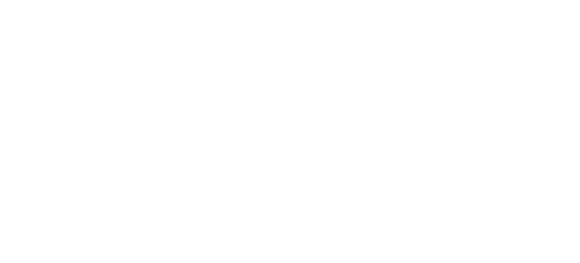 Bloomreach stacked logo white