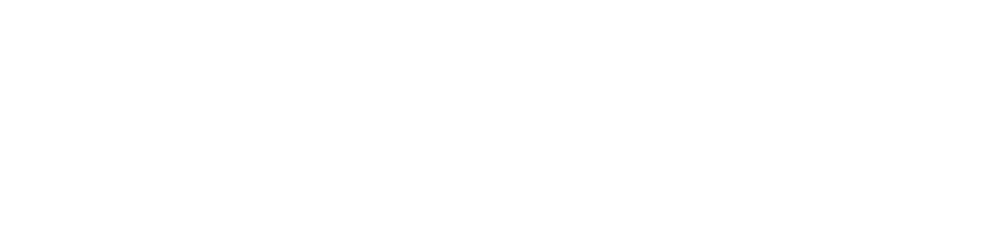 LightSpeed Horizontal logo white